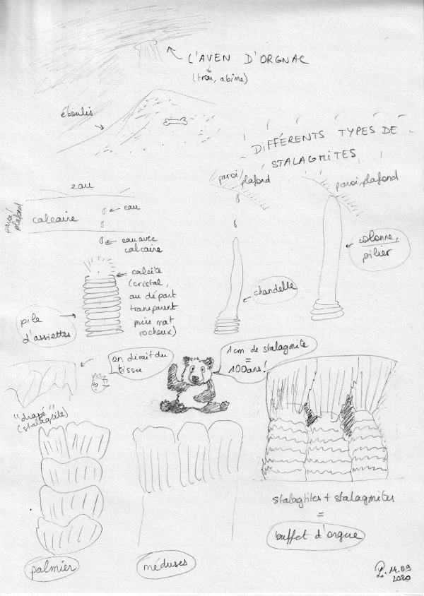 Explication sur la formation de stalagmites : l'eau passe à travers la roche calcaire ce qui donne la formation de calcite. Selon comment l'eau tombe, les stalagmites sont en forme de piles d'assiettes, de chandelles, de palmiers, de méduses. Une fois qu'une chandelle a atteint le plafond de la grotte, on appelle cela une colonne. Si des stalagtites et des stalagmites se "rencontrent" on parle de buffet d'orgue. Et le plus impressionnant : 1cm de stalagtite se forme en 100 ans !