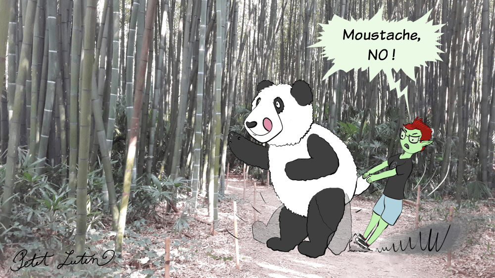 Picture of bamboos with incrusted illustrations : Moustache the panda wants to eat all of them, while Petit Lutin is holding him back saying "Moustache, no !"
