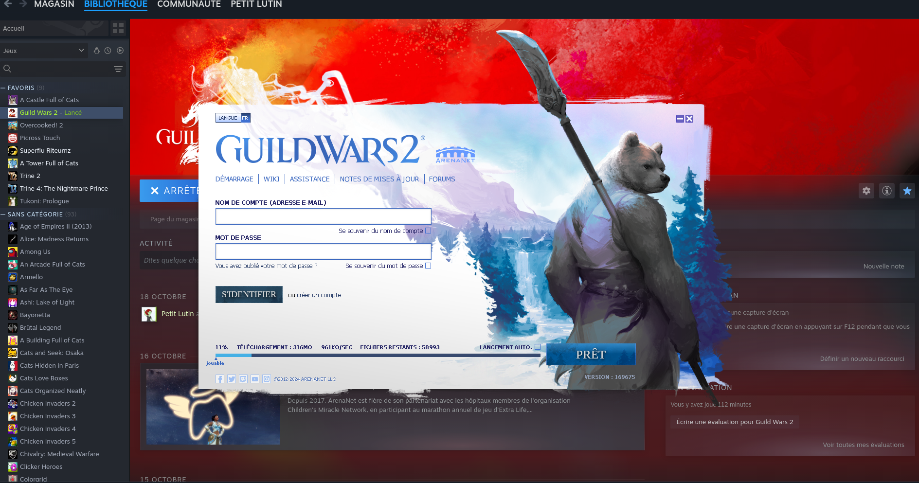 le launcher Guild Wars 2 lancé à partir de Steam sur lequel je peux utiliser mon compte ArenaNet