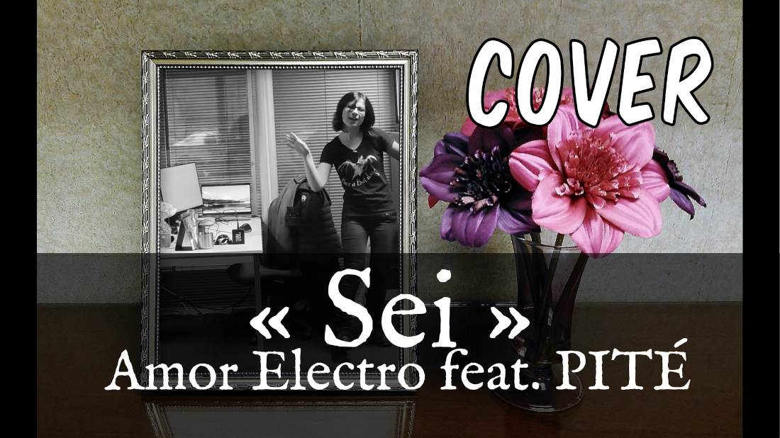 miniature de ma vidéo de reprise de la chanson Sei de Amor Electro et Pité