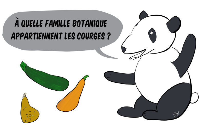 Moustache le panda demande :"à quelle famille botanique appartiennent les courges ?"
