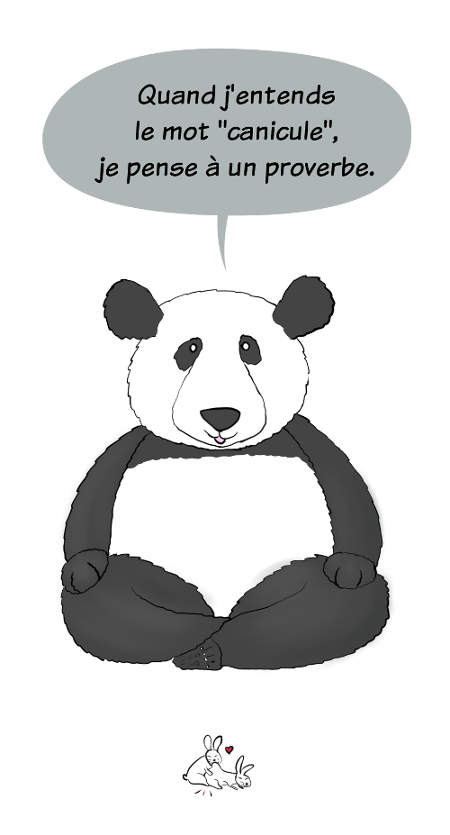 Case de BD : Moustache le panda dit 'Quand j'entends le mot canicule, je pense à un proverbe'. Les lapins font des galipettes.