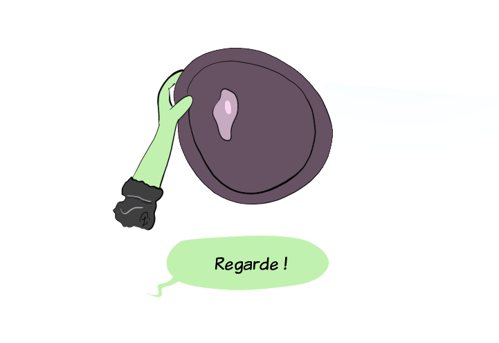 Case de BD : Petit Lutin montre une assiette avec le liquide vaisselle dégoûlinant en disant "Regarde !"
