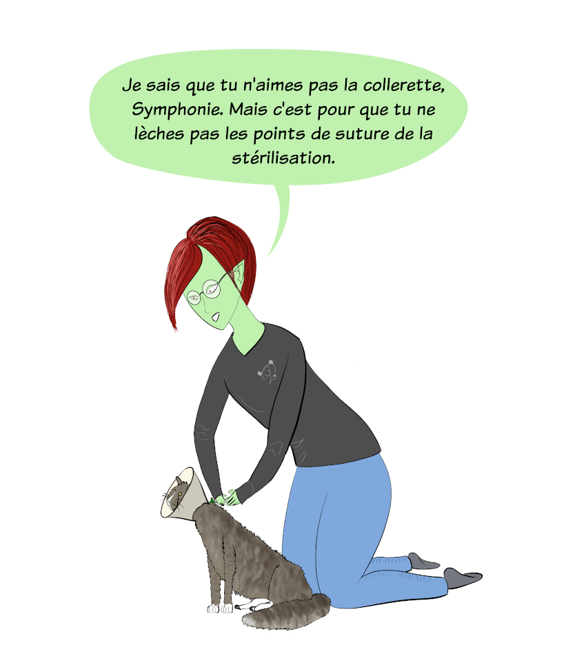 Petit Lutin attache la collerette autour du cou de Symphonie, son chat, en lui disant "Je sais que tu n'aimes pas la collerette, Symphonie. Mais c'est pour que tu ne lèches pas les points de suture de la stérilisation"