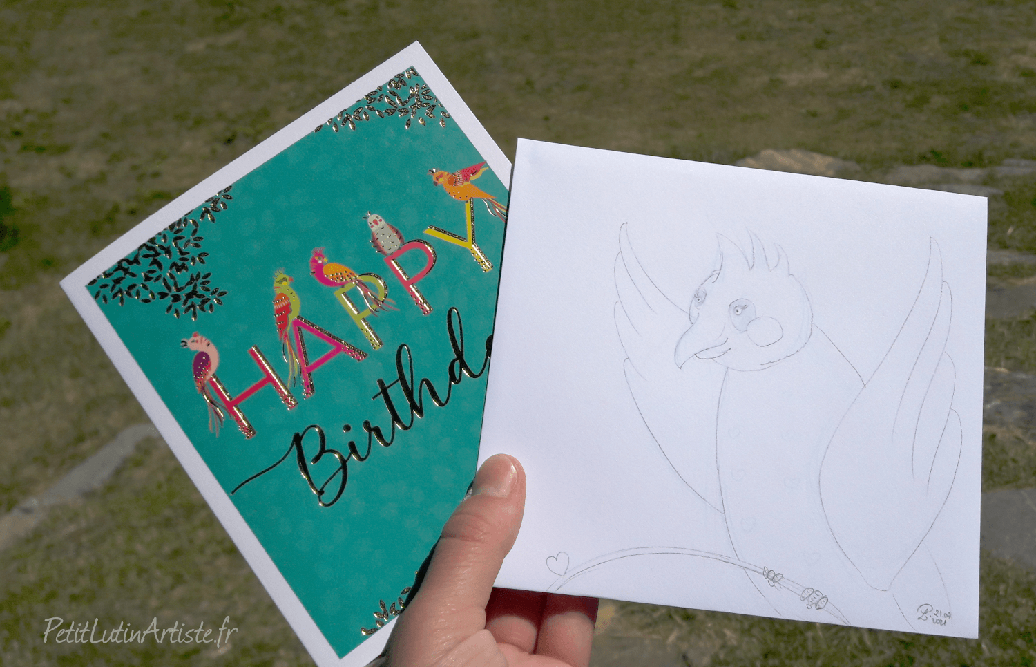photo d'une carte postale avec des oiseaux. j'ai dessiné un oiseau sur l'enveloppe blanche