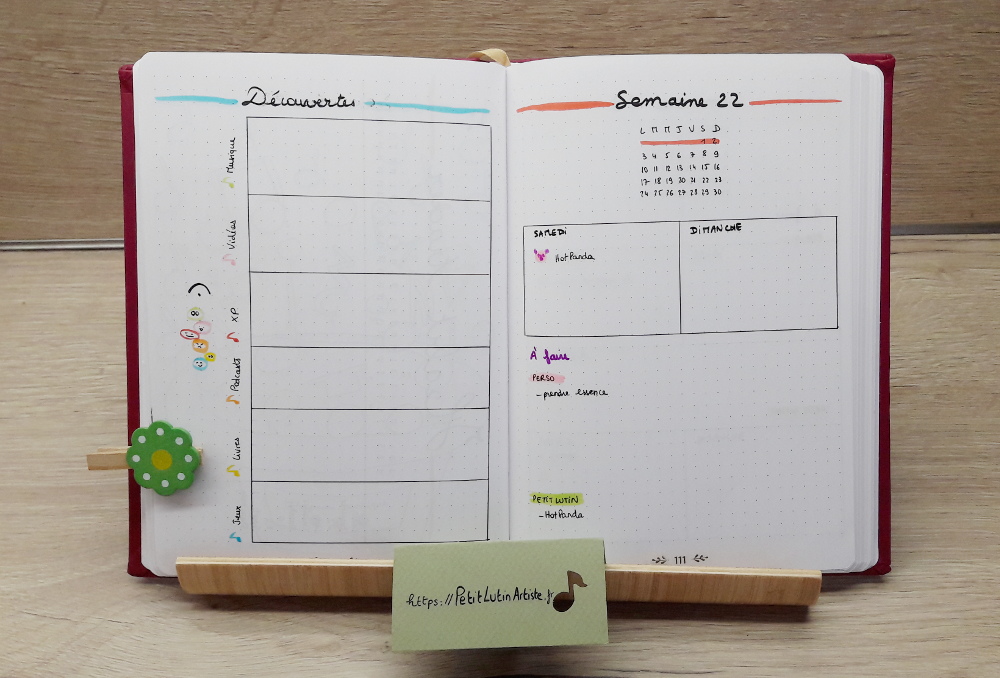 Belette Journal, mon bullet journal de juin 2019 - découvertes et première semaine du mois