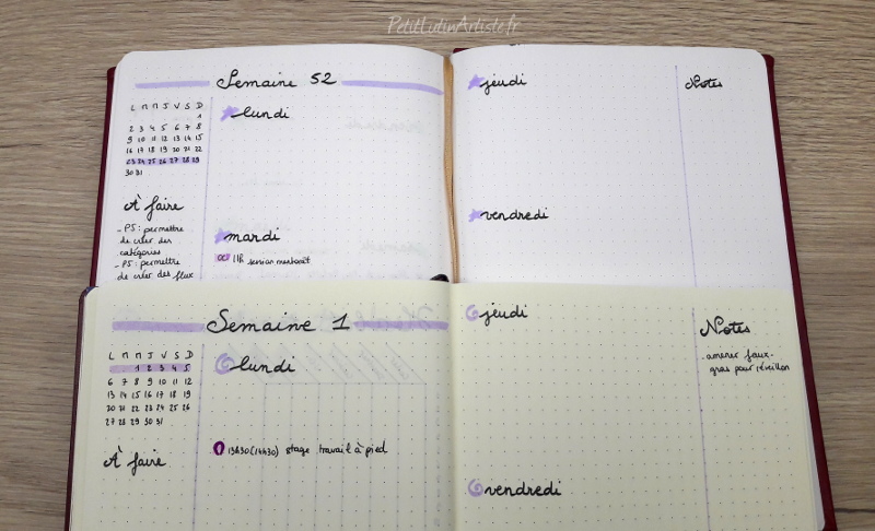 photo : comparaison entre Quo Vadis Life Journal dont les pages sont plus blanches que celles du Leuchtturm 1917 qui sont un peu plus jaunes