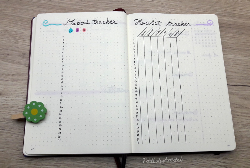 photo de mon bullet journal, plan with me janvier 2020 : double page mood tracker et habit tracker