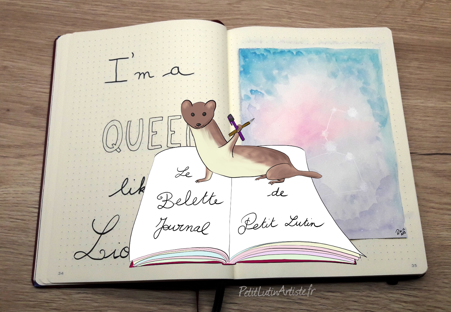 belette journal : photo de mon bullet journal avec une belette pour mon setup de 2020 et mon plan with me de janvier 2020