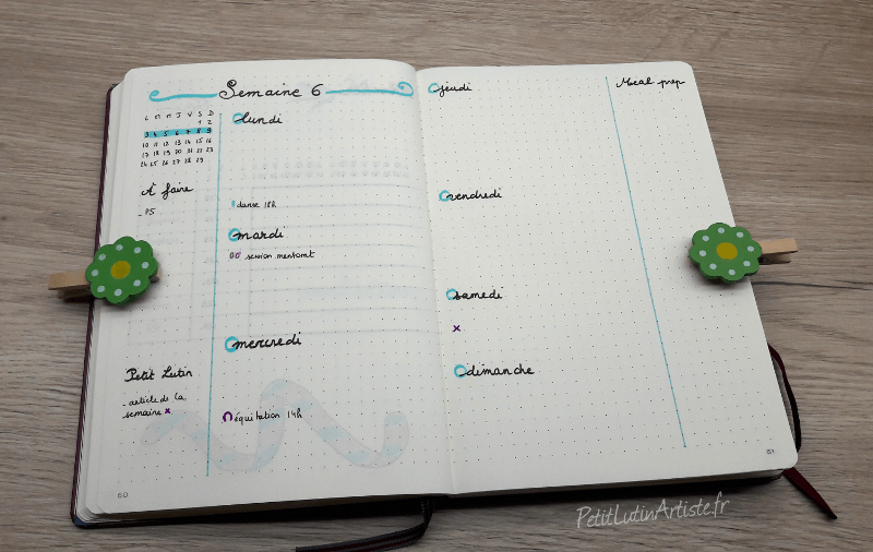 double page du mois de février 2020 dans mon bullet journal. à gauche, une citation de la passe miroir "passer des miroirs, ça demande de s'affronter soi-même", à droite, une aquarelle représentant Petit Lutin sortant du miroir du Riséd pendant que Moustache se regarde dedans. L'aquarelle fait référence à harry potter et à la passe-miroir.