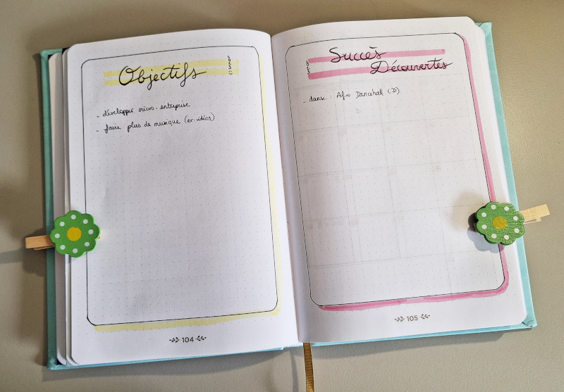 spreadpage of goals on the left page, and success and discoveries on the right page