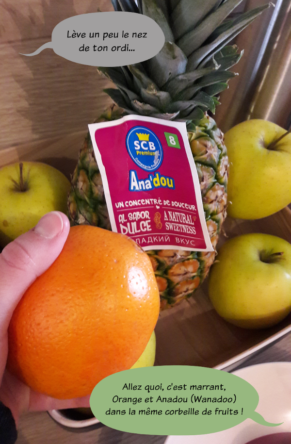 Photo de la corbeille de fruits avec une orange et un ananas d'une marque nommée Anadou