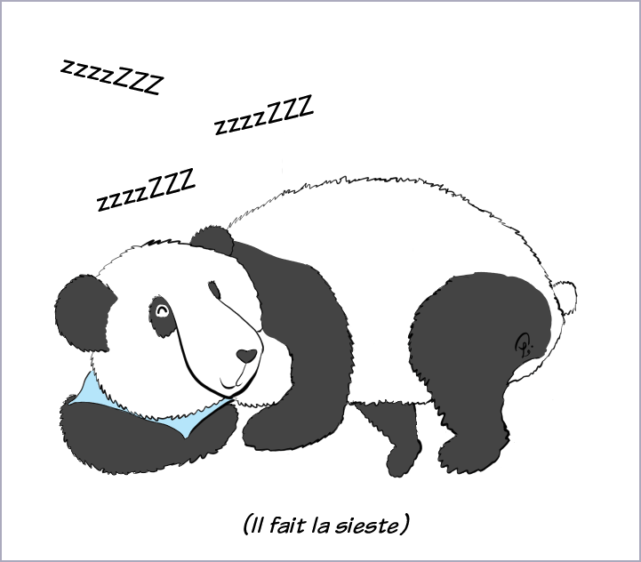 Case de BD : Moustache le panda est déjà en train de dormir, même qu'il ronfle. Il est précisé qu'il fait la sieste.