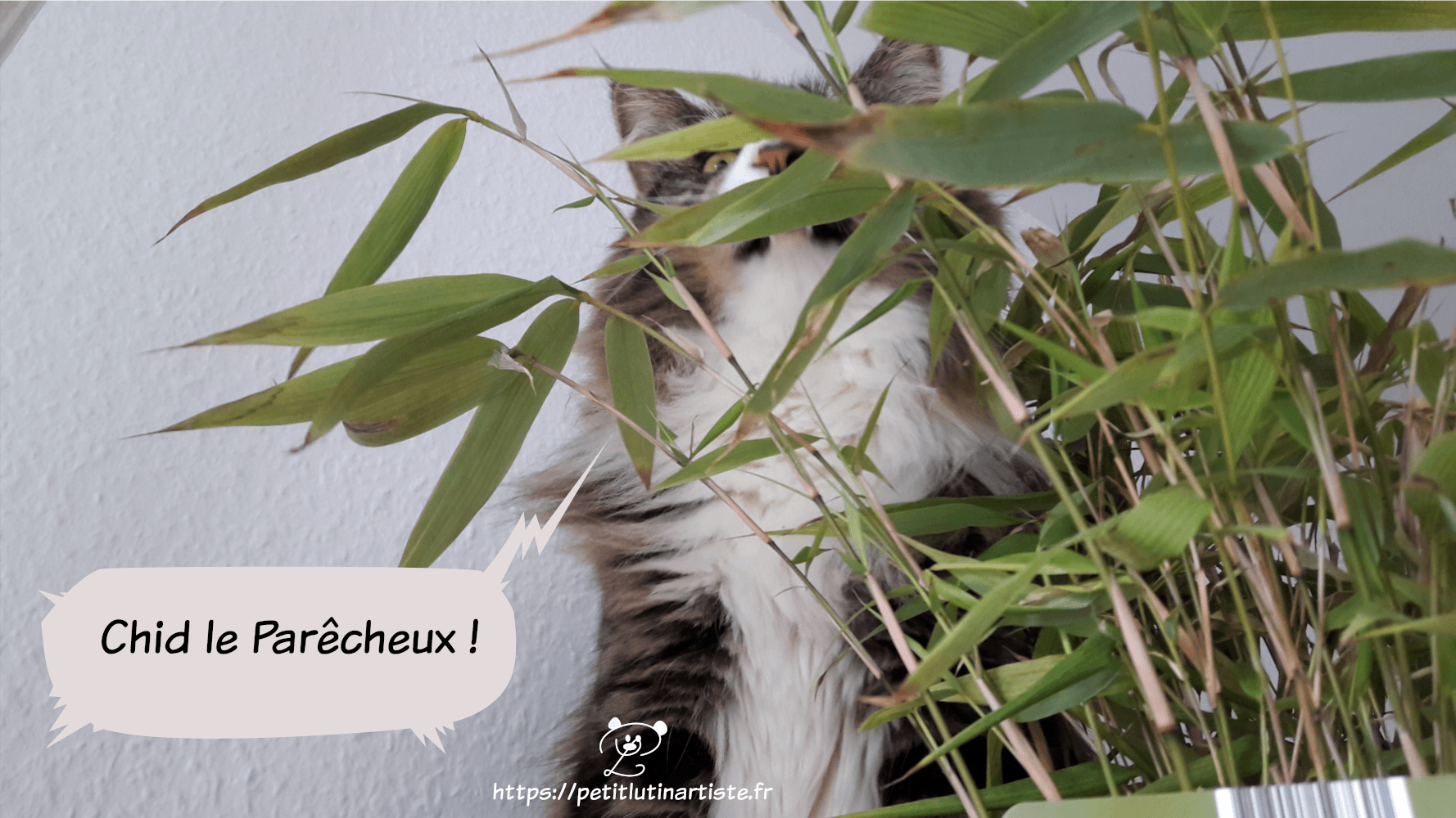 le chat louche et on voit quelques-unes de ses dents : "je suis auchi Chid le Parêcheux !"